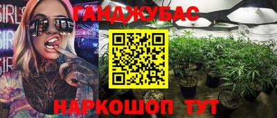 PSILOCYBIN Гусиноозёрск