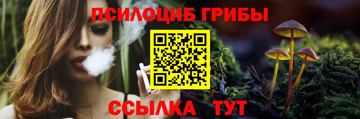 Кохма  Галлюциногенные грибы мухоморы  Вход с VPN 