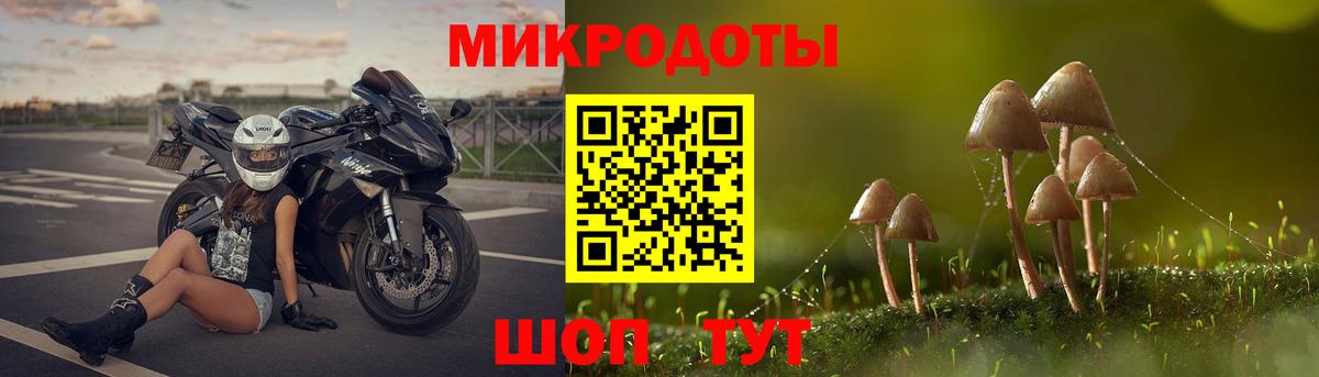 Галлюциногенные грибы мицелий Кохма