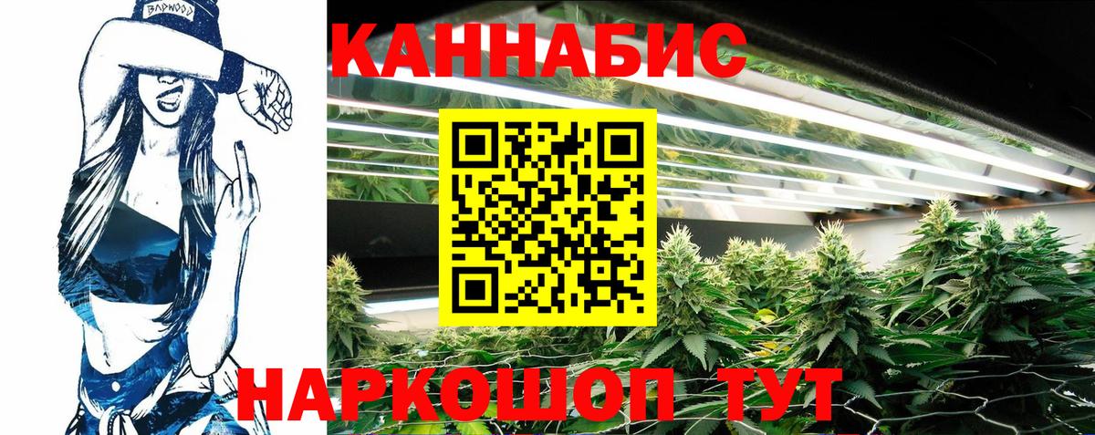 Каннабис семена  Каннабис OG Kush  Вход с VPN  Кохма  Марихуана семена  Бошки марихуана планчик 